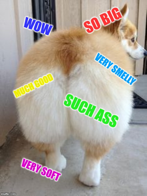 doge ass | SO BIG; WOW; VERY SMELLY; MUCH GOOD; SUCH ASS; VERY SOFT | image tagged in memes,ass,doge | made w/ Imgflip meme maker