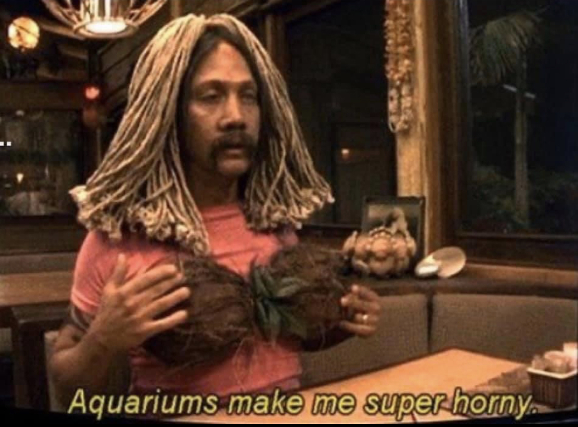 Aquariums Blank Meme Template