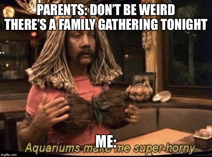 Aquariums | PARENTS: DON’T BE WEIRD THERE’S A FAMILY GATHERING TONIGHT; ME: | image tagged in aquariums | made w/ Imgflip meme maker