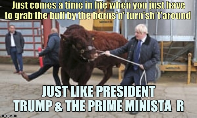 Rocking The Great Awakening Parliament | Just comes a time in life when you just have to grab the bull by the horns'n' turn'sh*t'around; JUST LIKE PRESIDENT TRUMP & THE PRIME MINISTA  R | image tagged in farmers,the great awakening,qanon,corbyn's labour party,monsanto | made w/ Imgflip meme maker