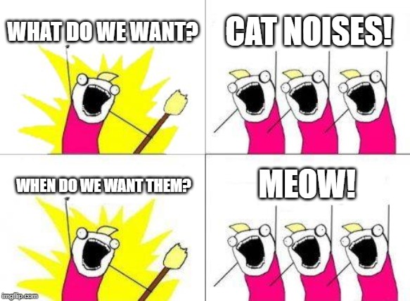 What Do We Want | WHAT DO WE WANT? CAT NOISES! MEOW! WHEN DO WE WANT THEM? | image tagged in memes,what do we want | made w/ Imgflip meme maker