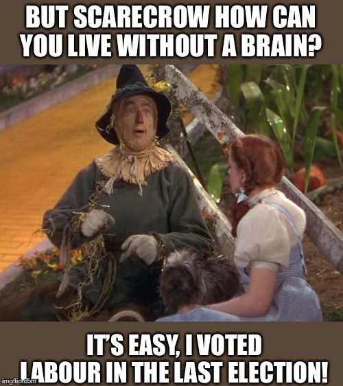 BUT SCARECROW HOW CAN YOU LIVE WITHOUT A BRAIN? IT’S EASY, I VOTED LABOUR IN THE LAST ELECTION! | image tagged in labour,corbyn,wizard of oz | made w/ Imgflip meme maker