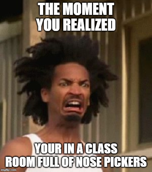 That Moment You Realized....... | THE MOMENT YOU REALIZED; YOUR IN A CLASS ROOM FULL OF NOSE PICKERS | image tagged in that moment you realized | made w/ Imgflip meme maker