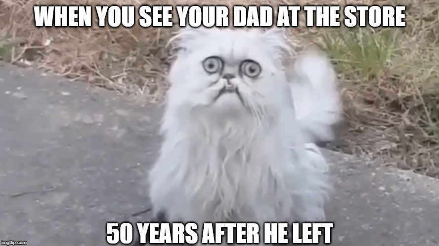 WHEN YOU SEE YOUR DAD AT THE STORE; 50 YEARS AFTER HE LEFT | image tagged in funny,cats,weird | made w/ Imgflip meme maker