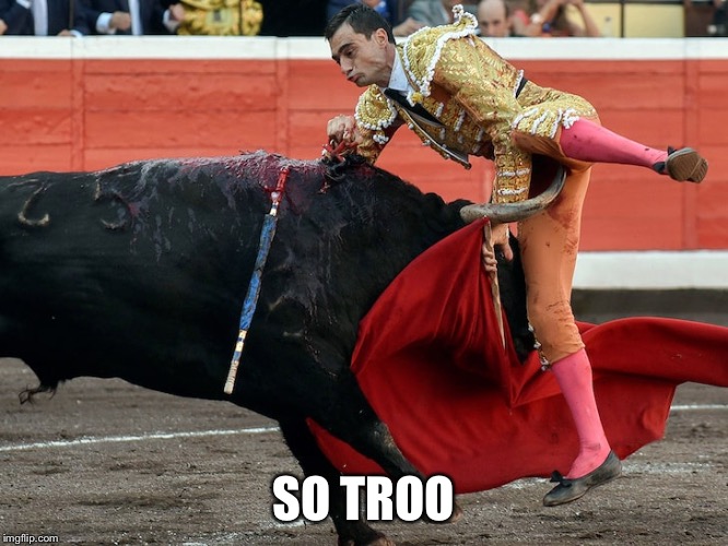 Bullfighter getting gored in crotch | SO TROO | image tagged in bullfighter getting gored in crotch | made w/ Imgflip meme maker