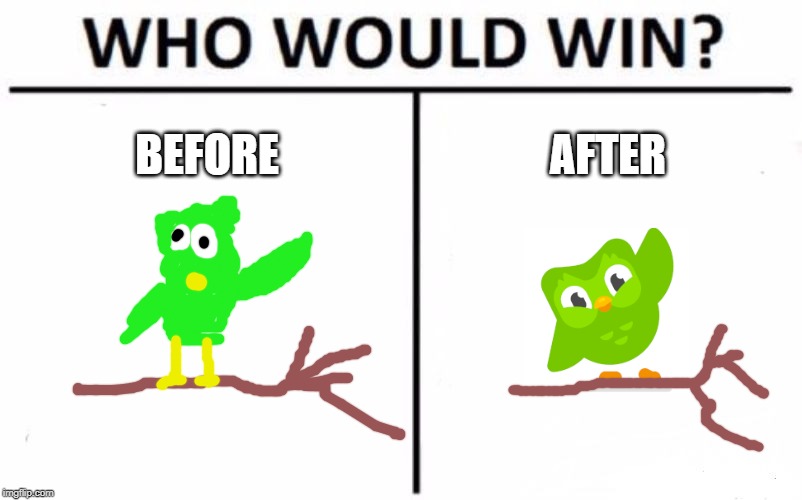 Duolingo | BEFORE; AFTER | image tagged in memes,who would win | made w/ Imgflip meme maker