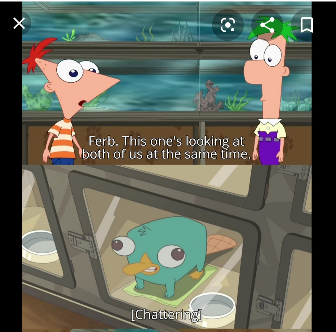 Look ferb this one's looking at both of us at the Same time Blank Meme Template