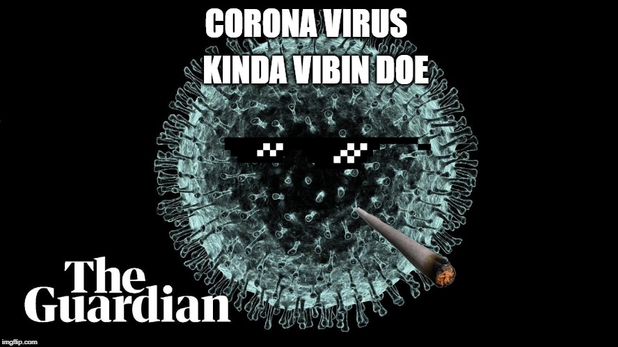 CORONA | KINDA VIBIN DOE; CORONA VIRUS | image tagged in memes | made w/ Imgflip meme maker