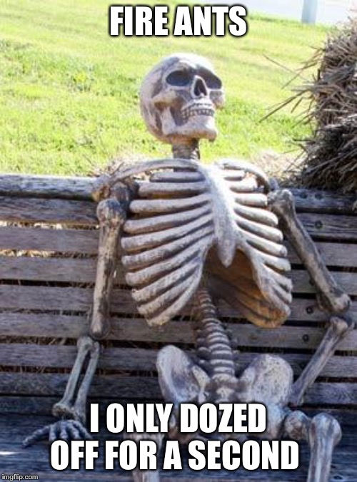 Waiting Skeleton Meme | FIRE ANTS; I ONLY DOZED OFF FOR A SECOND | image tagged in memes,waiting skeleton | made w/ Imgflip meme maker