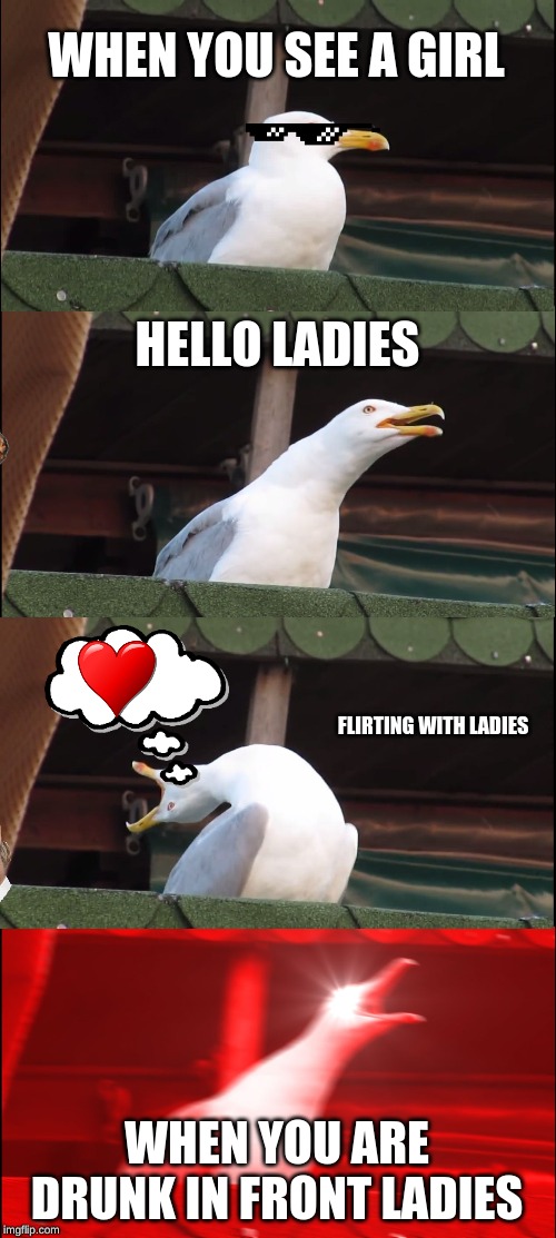 Inhaling Seagull | WHEN YOU SEE A GIRL; HELLO LADIES; FLIRTING WITH LADIES; WHEN YOU ARE DRUNK IN FRONT LADIES | image tagged in memes,inhaling seagull,meme | made w/ Imgflip meme maker