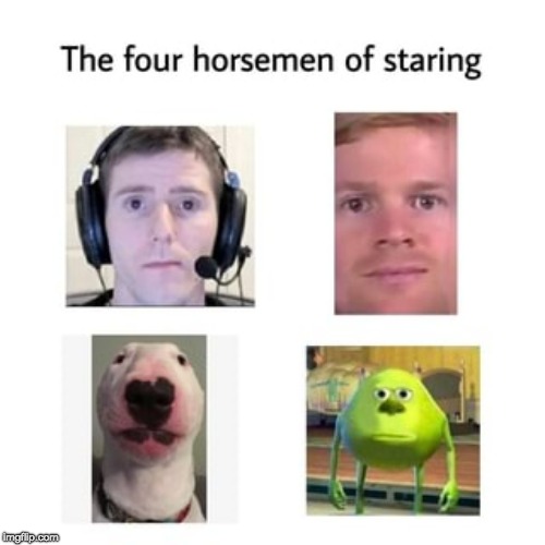 The Four Horsemen of Staring | image tagged in memes,blank white template | made w/ Imgflip meme maker