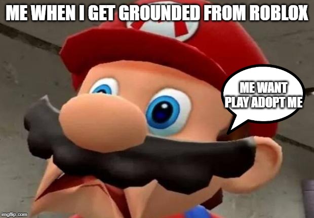 Mario WTF | ME WHEN I GET GROUNDED FROM ROBLOX; ME WANT PLAY ADOPT ME | image tagged in mario wtf | made w/ Imgflip meme maker