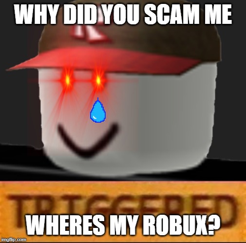 Roblox Triggered | WHY DID YOU SCAM ME; WHERES MY ROBUX? | image tagged in roblox triggered | made w/ Imgflip meme maker