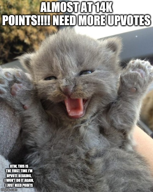 Yay Kitty | ALMOST AT 14K POINTS!!!! NEED MORE UPVOTES; BTW, THIS IS THE FIRST TIME I'M UPVOTE BEGGING, I WON'T DO IT AGAIN, I JUST NEED POINTS | image tagged in yay kitty | made w/ Imgflip meme maker