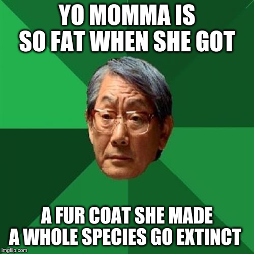 High Expectations Asian Father Meme | YO MOMMA IS SO FAT WHEN SHE GOT; A FUR COAT SHE MADE A WHOLE SPECIES GO EXTINCT | image tagged in memes,high expectations asian father | made w/ Imgflip meme maker