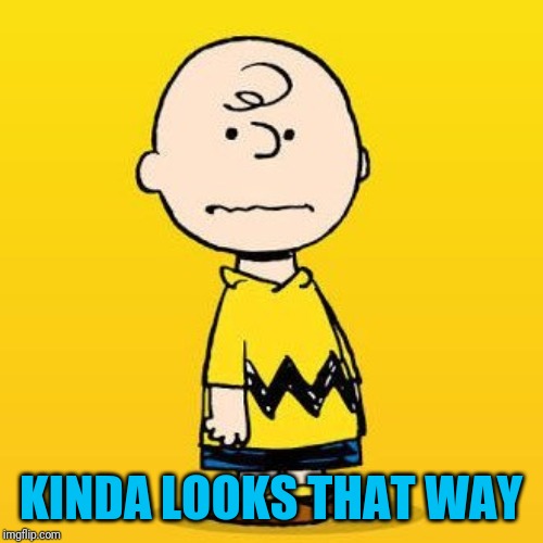 charlie brown | KINDA LOOKS THAT WAY | image tagged in charlie brown | made w/ Imgflip meme maker