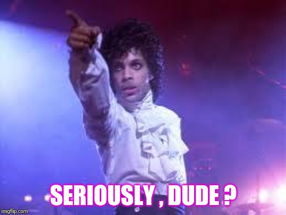 Prince | SERIOUSLY , DUDE ? | image tagged in prince | made w/ Imgflip meme maker