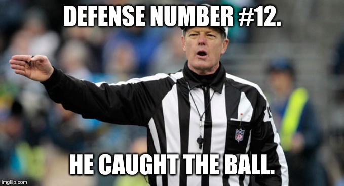 NFL ref referee call foul penalty | DEFENSE NUMBER #12. HE CAUGHT THE BALL. | image tagged in nfl ref referee call foul penalty | made w/ Imgflip meme maker
