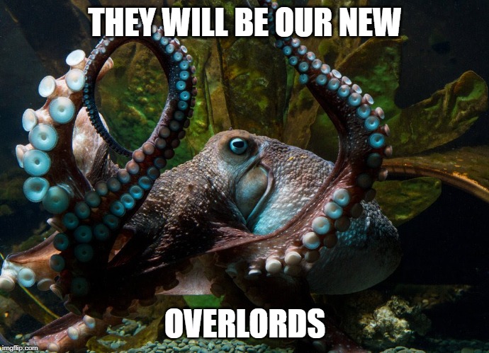  THEY WILL BE OUR NEW; OVERLORDS | image tagged in octopus,smart,overlords,rule | made w/ Imgflip meme maker