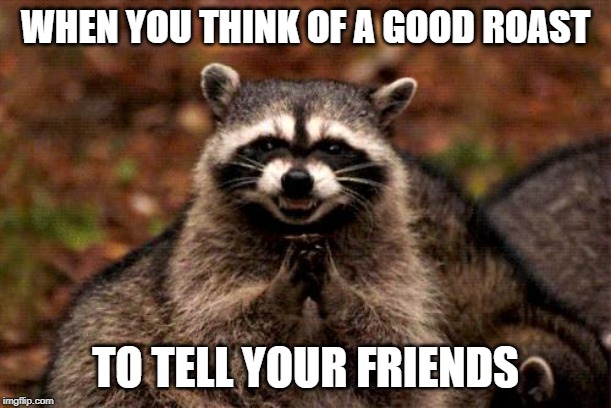 Evil Plotting Raccoon | WHEN YOU THINK OF A GOOD ROAST; TO TELL YOUR FRIENDS | image tagged in memes,evil plotting raccoon | made w/ Imgflip meme maker