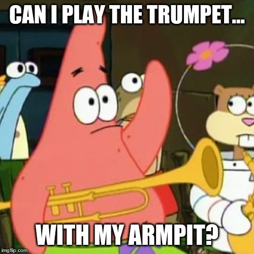 No Patrick | CAN I PLAY THE TRUMPET... WITH MY ARMPIT? | image tagged in memes,no patrick | made w/ Imgflip meme maker