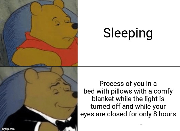 Tuxedo Winnie The Pooh | Sleeping; Process of you in a bed with pillows with a comfy blanket while the light is turned off and while your eyes are closed for only 8 hours | image tagged in memes,tuxedo winnie the pooh | made w/ Imgflip meme maker