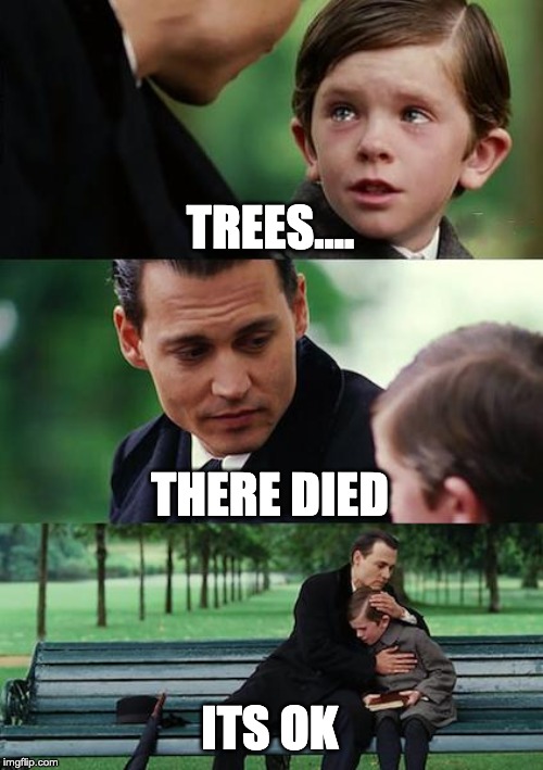 Finding Neverland Meme | TREES.... THERE DIED ITS OK | image tagged in memes,finding neverland | made w/ Imgflip meme maker