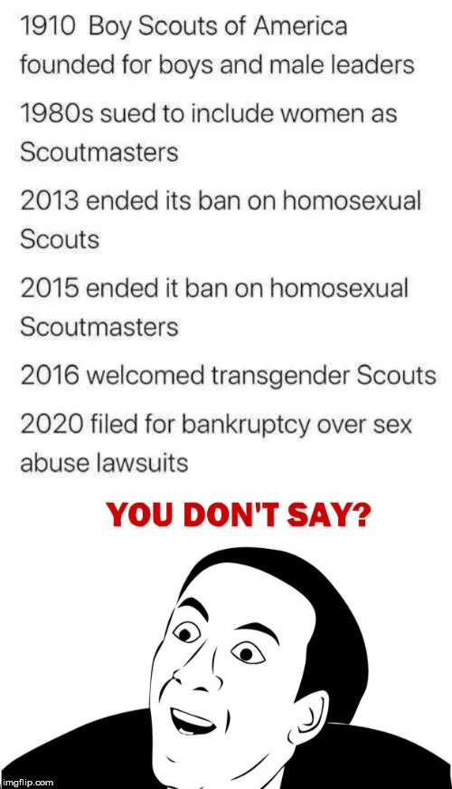 Scouts are now gone | image tagged in memes,you don't say | made w/ Imgflip meme maker