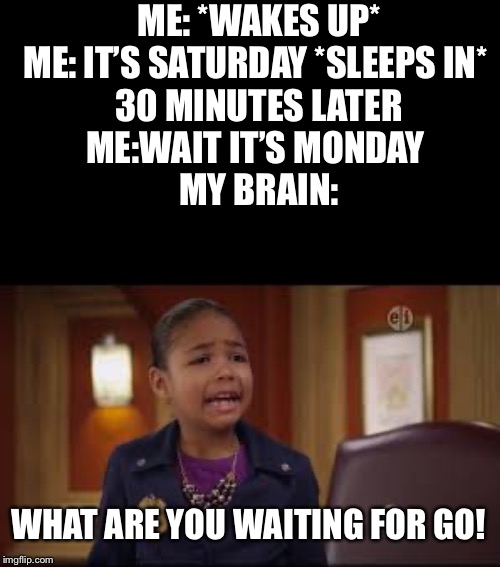 ME: *WAKES UP*
ME: IT’S SATURDAY *SLEEPS IN* 
30 MINUTES LATER
ME:WAIT IT’S MONDAY 
MY BRAIN:; WHAT ARE YOU WAITING FOR GO! | image tagged in memes | made w/ Imgflip meme maker
