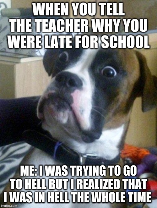 Suprised Boxer | WHEN YOU TELL THE TEACHER WHY YOU WERE LATE FOR SCHOOL; ME: I WAS TRYING TO GO TO HELL BUT I REALIZED THAT I WAS IN HELL THE WHOLE TIME | image tagged in suprised boxer | made w/ Imgflip meme maker