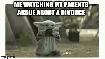 Want some soup? | ME WATCHING MY PARENTS ARGUE ABOUT A DIVORCE | image tagged in gifs,baby yoda | made w/ Imgflip video-to-gif maker