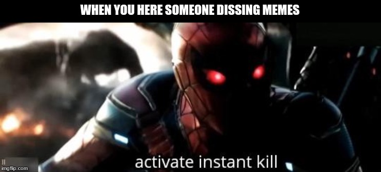 WHEN YOU HERE SOMEONE DISSING MEMES | image tagged in spiderman,memes | made w/ Imgflip meme maker