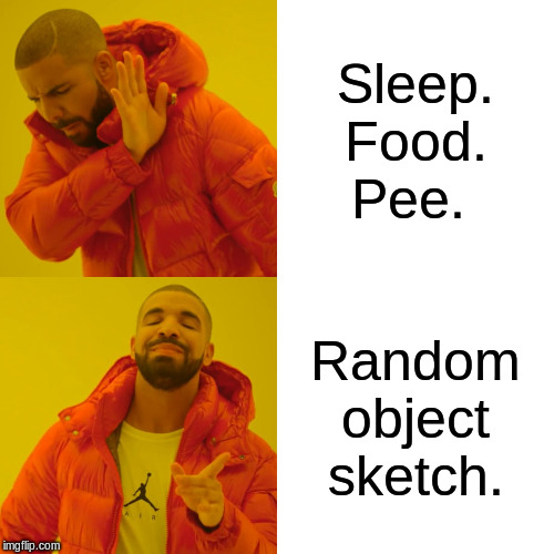 Drake Hotline Bling | Sleep.
Food.
Pee. Random object sketch. | image tagged in memes,drake hotline bling | made w/ Imgflip meme maker
