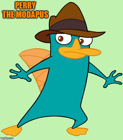 PERRY THE MODAPUS | made w/ Imgflip meme maker