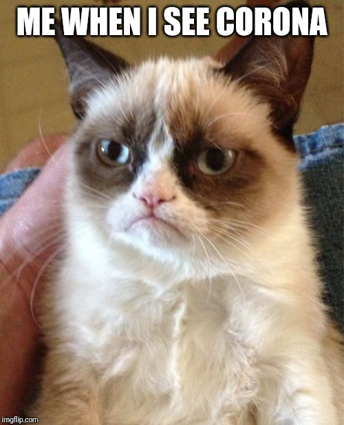 Grumpy Cat | ME WHEN I SEE CORONA | image tagged in memes,grumpy cat | made w/ Imgflip meme maker