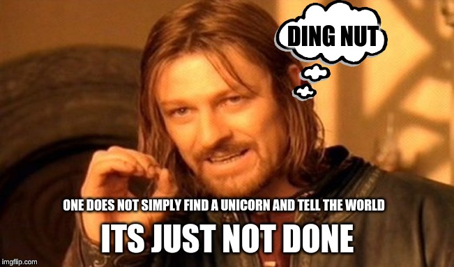 one | DING NUT; ITS JUST NOT DONE; ONE DOES NOT SIMPLY FIND A UNICORN AND TELL THE WORLD | image tagged in memes,one does not simply,meme | made w/ Imgflip meme maker
