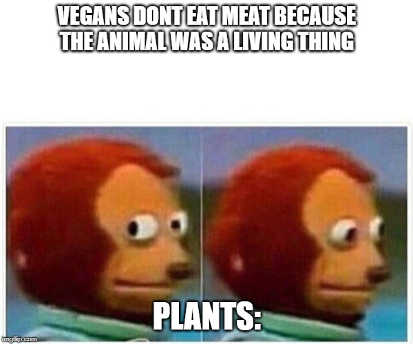 Monkey Puppet | VEGANS DONT EAT MEAT BECAUSE THE ANIMAL WAS A LIVING THING; PLANTS: | image tagged in monkey puppet | made w/ Imgflip meme maker