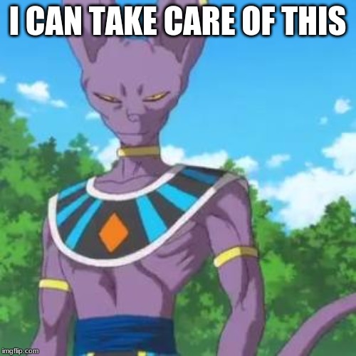 Lord Beerus | I CAN TAKE CARE OF THIS | image tagged in lord beerus | made w/ Imgflip meme maker