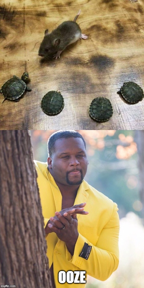 OOZE | image tagged in black guy hiding behind tree | made w/ Imgflip meme maker