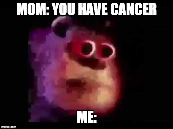 MOM: YOU HAVE CANCER; ME: | image tagged in surprised sully | made w/ Imgflip meme maker