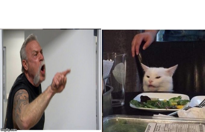 I just thought this was funny | image tagged in cat,yelling,guyyellingatcat,american chopper argument,woman yelling at cat | made w/ Imgflip meme maker
