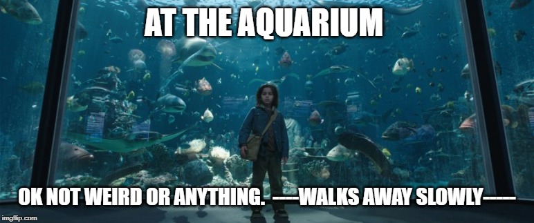 Young Aquaman | AT THE AQUARIUM OK NOT WEIRD OR ANYTHING.  ----WALKS AWAY SLOWLY----- | image tagged in young aquaman | made w/ Imgflip meme maker
