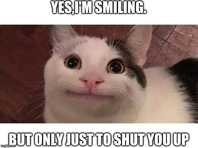 YES,I'M SMILING. BUT ONLY JUST TO SHUT YOU UP | image tagged in cat | made w/ Imgflip meme maker