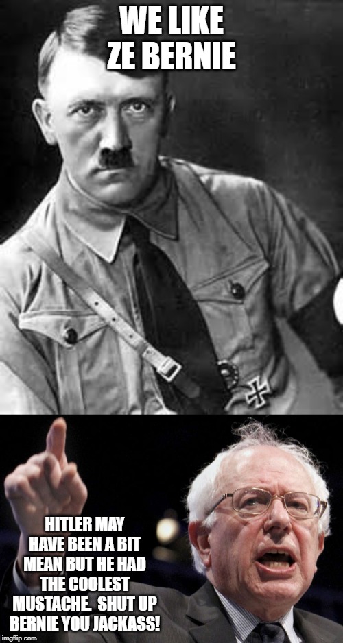 WE LIKE ZE BERNIE; HITLER MAY HAVE BEEN A BIT MEAN BUT HE HAD THE COOLEST MUSTACHE.  SHUT UP BERNIE YOU JACKASS! | image tagged in adolf hitler,bernie sanders | made w/ Imgflip meme maker