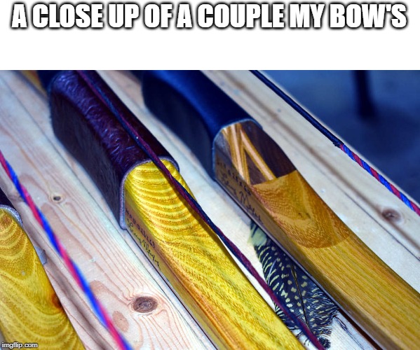 A CLOSE UP OF A COUPLE MY BOW'S | made w/ Imgflip meme maker