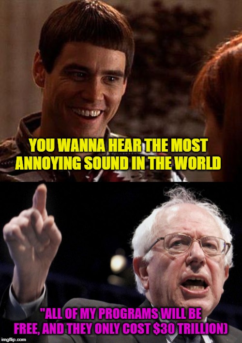 YOU WANNA HEAR THE MOST ANNOYING SOUND IN THE WORLD "ALL OF MY PROGRAMS WILL BE FREE, AND THEY ONLY COST $30 TRILLION) | image tagged in dumb and dumber,bernie sanders | made w/ Imgflip meme maker