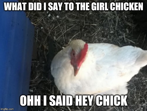 Angry Chicken Boss | WHAT DID I SAY TO THE GIRL CHICKEN; OHH I SAID HEY CHICK | image tagged in memes,angry chicken boss | made w/ Imgflip meme maker