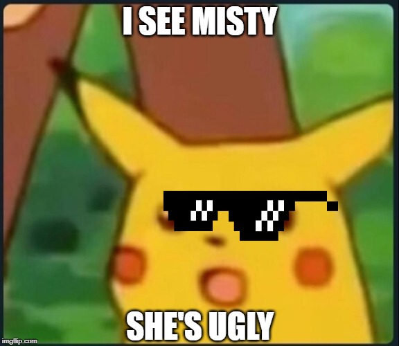 Surprised Pikachu | I SEE MISTY; SHE'S UGLY | image tagged in surprised pikachu | made w/ Imgflip meme maker