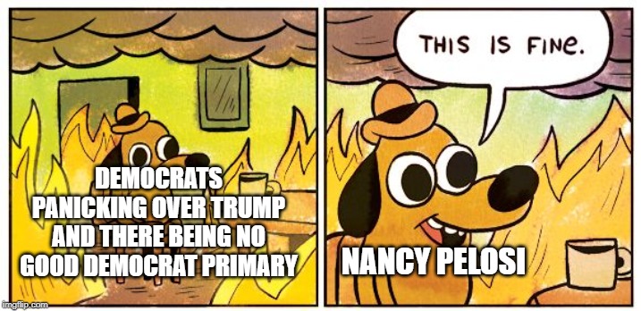 *sigh* Oh, Pelosi | DEMOCRATS PANICKING OVER TRUMP AND THERE BEING NO GOOD DEMOCRAT PRIMARY; NANCY PELOSI | image tagged in this is fine dog,democrats,nancy pelosi,trump 2020 | made w/ Imgflip meme maker