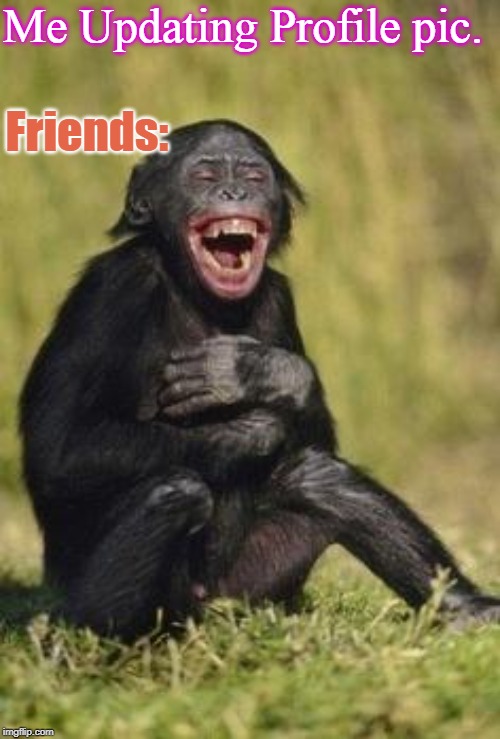 Laughing monkey | Me Updating Profile pic. Friends: | image tagged in laughing monkey | made w/ Imgflip meme maker